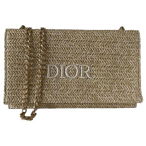 dior solar pochette|Dior small pouch bag.